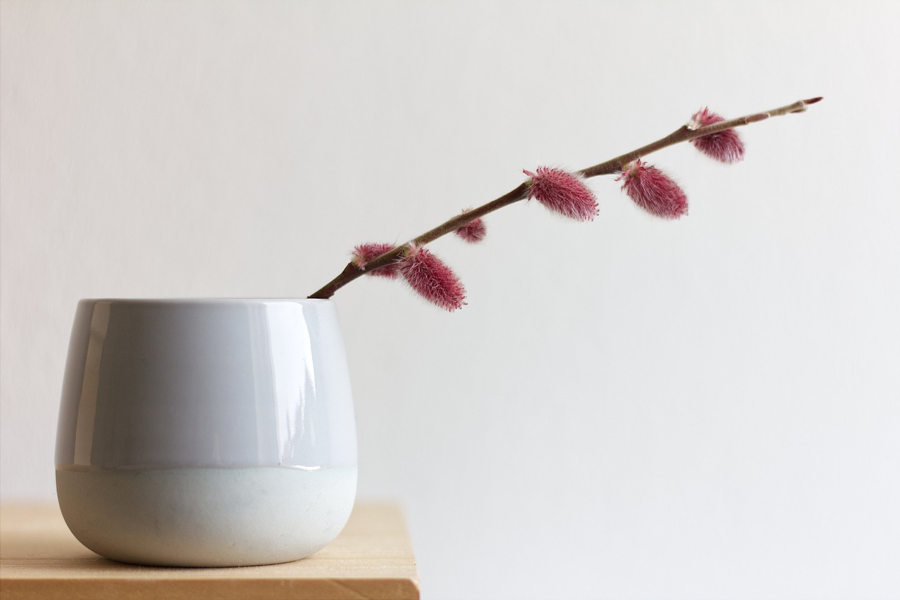 The Impact of Minimalism on Your Daily Routine